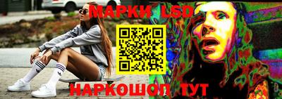 apvp Канаш