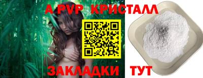 apvp Канаш