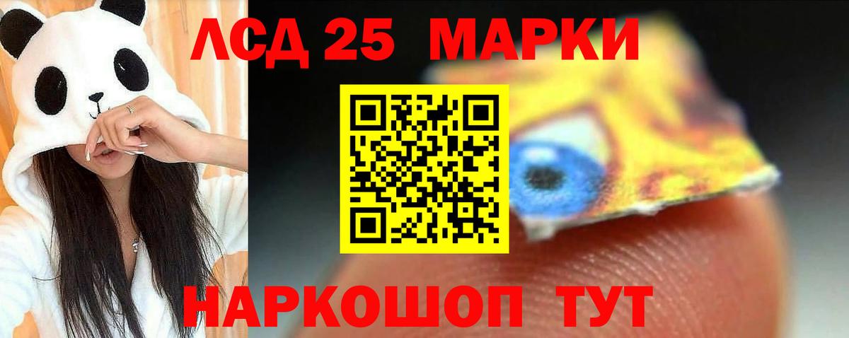 Кропоткин  LSD-25 экстази кислота  Вход с VPN 
